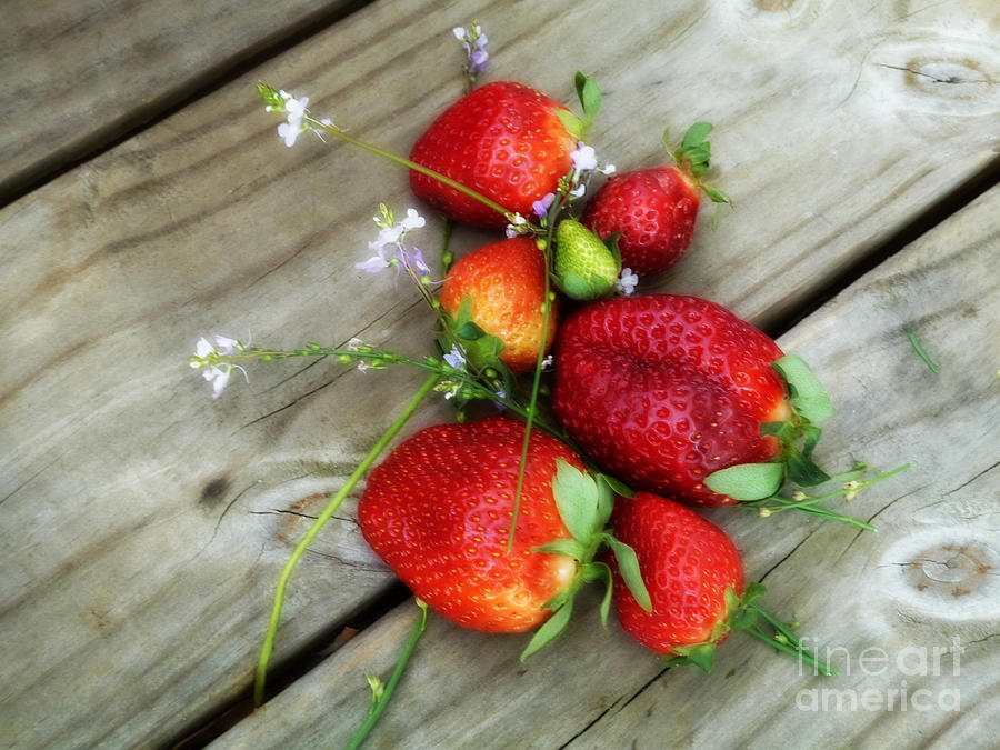 Strawberrries Photograph by Valerie Reeves