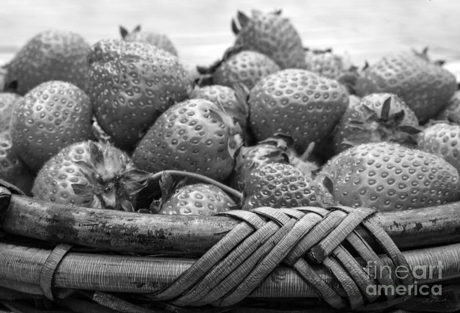 Strawberry Basket Black and White Photograph by Iris Richardson