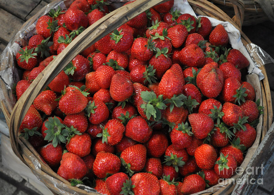 Strawberry basket Photograph by Josephine Cohn