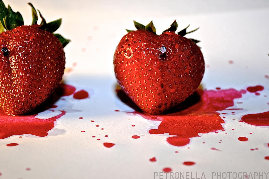The Beatles Photograph - Strawberry Blood by Brittany Petronella