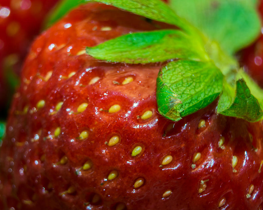Fruit Photograph - Strawberry by Brad Monnerjahn