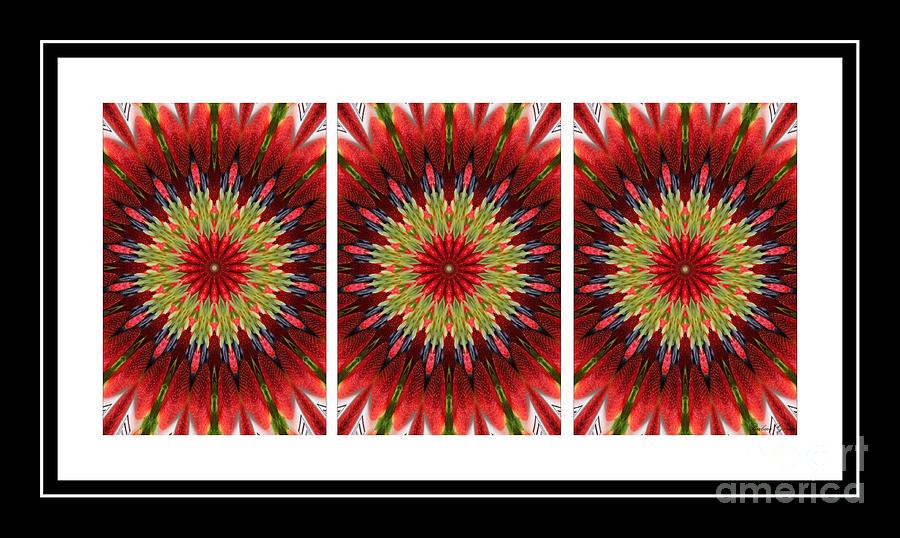 Strawberry Photograph - Strawberry Explosion Triptych - Kaleidoscope by Barbara A Griffin
