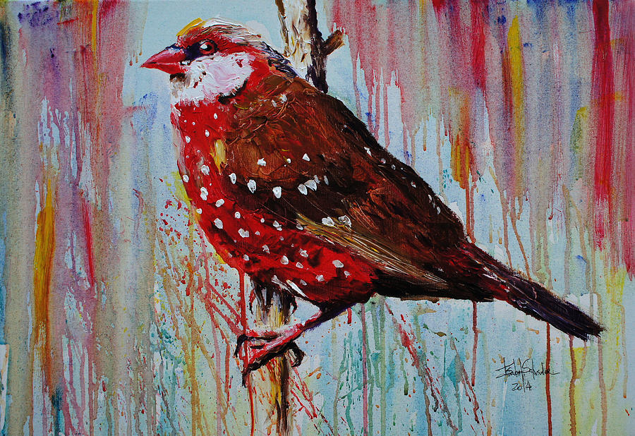 Animal Painting - Strawberry Finch by Isabel Salvador