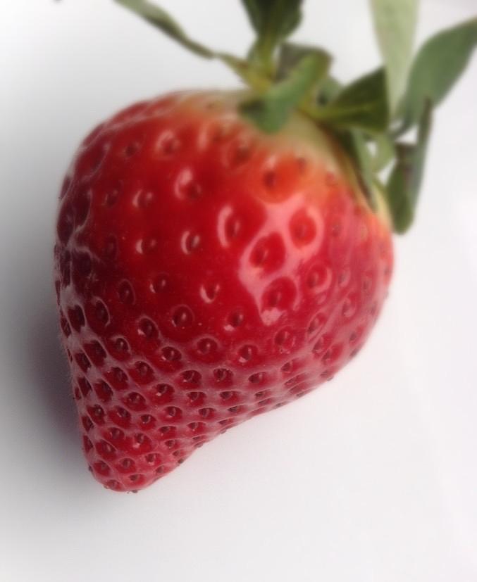 Strawberry Photograph - Strawberry by Keila Carvalho