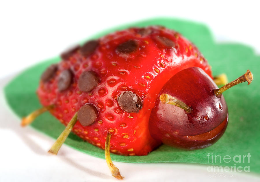 Strawberry Photograph - Strawberry Ladybug by Iris Richardson