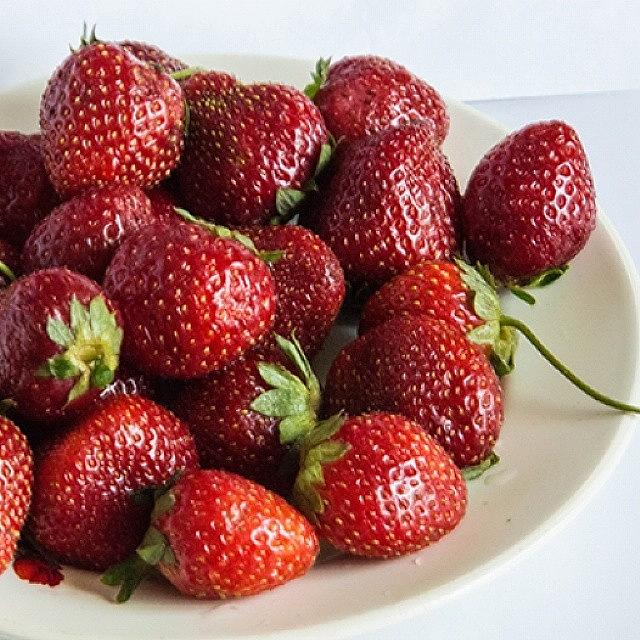 Strawberry Photograph by Marina Peskova