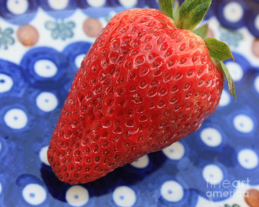 Strawberry on Blue Plate Photograph by Carol Groenen