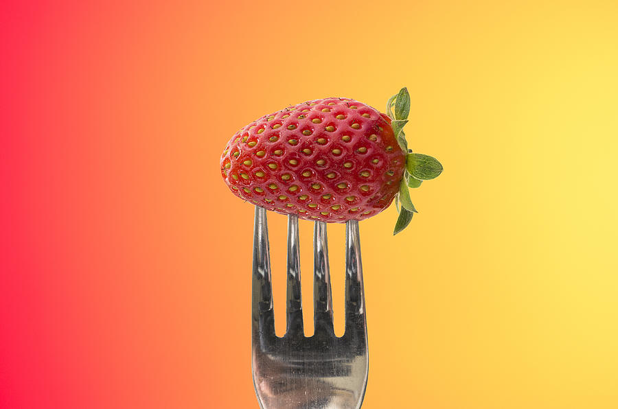 Strawberry on fork Photograph by Paulo Goncalves