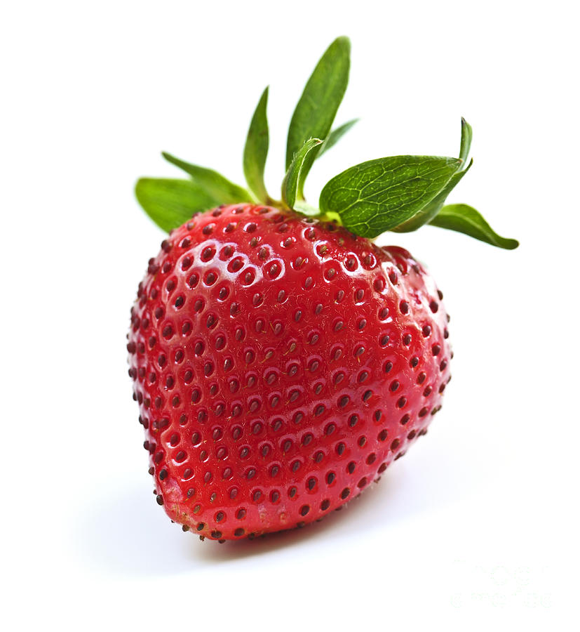 Strawberry Photograph - Strawberry on white background by Elena Elisseeva