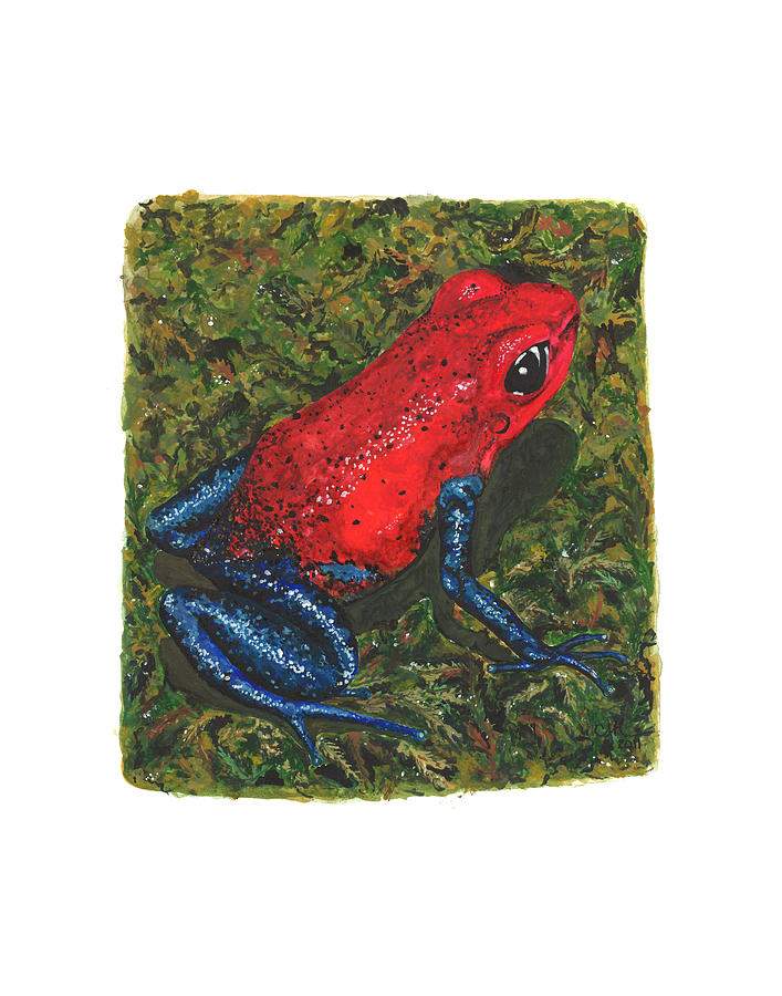 Strawberry Poison Dart Frog Painting by Cindy Hitchcock