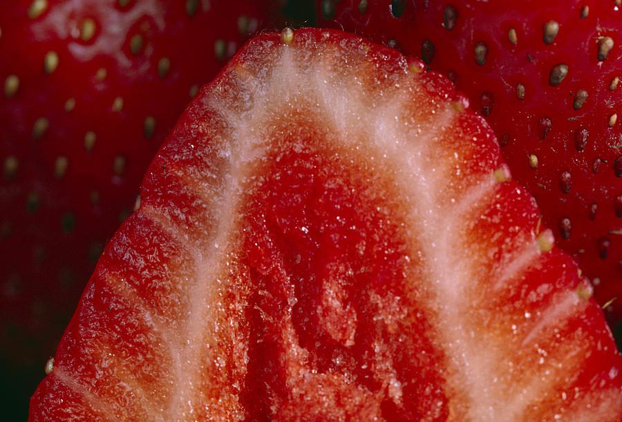Strawberry Photograph by Robert J. Erwin
