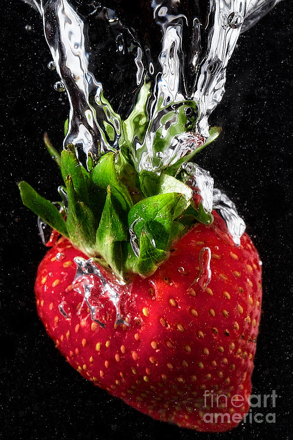 Strawberry Splash Photograph by Jarrod Erbe