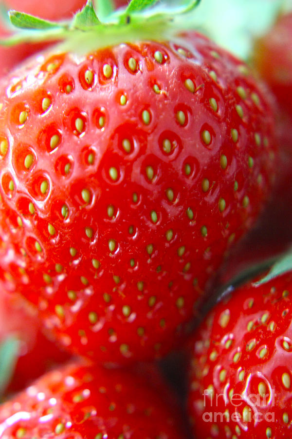 Strawberry Photograph by Terri Waters