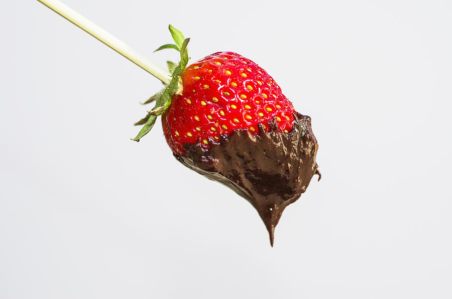 Strawberry with chocolate Photograph by Paulo Goncalves