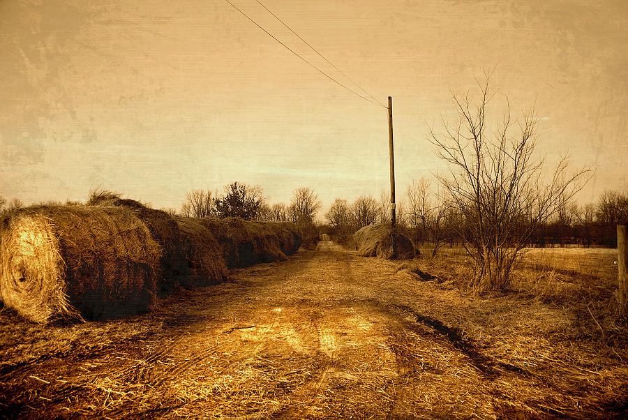 Landscape Photograph - Strawmill Road by Mark Orr