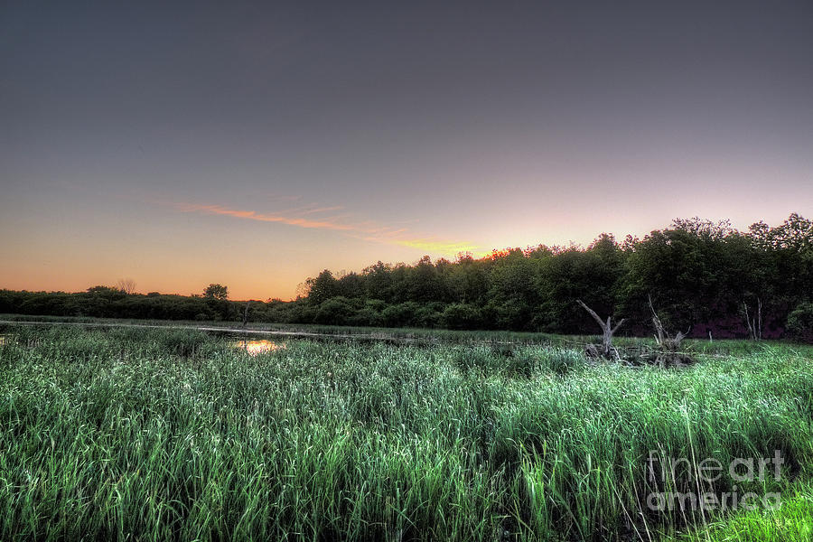 Streaky Swamp Sunrise Photograph by Deborah Smolinske