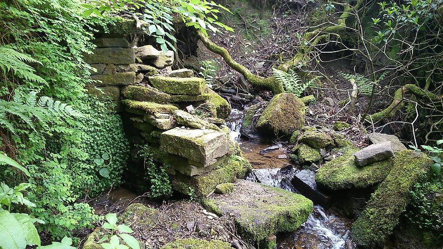 Stream and Wall Photograph by Phil Nolan - Fine Art America