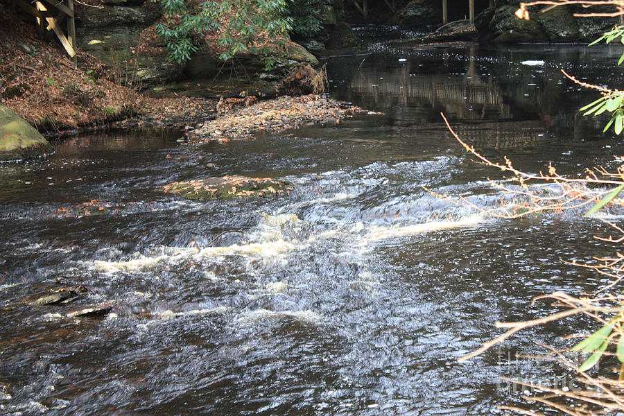Stream at Bushkill Falls Photograph by John Telfer