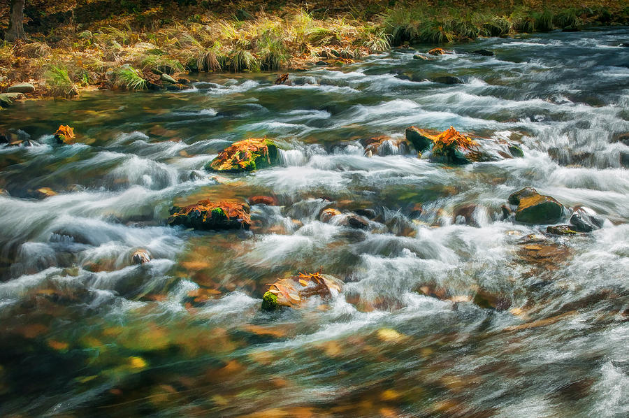 Landscape Photograph - Stream Fall Colors Great Smoky Mountains Painted  by Rich Franco