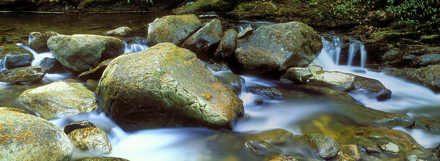 Stream Flowing Through Rocks Photograph by Panoramic Images - Fine Art ...