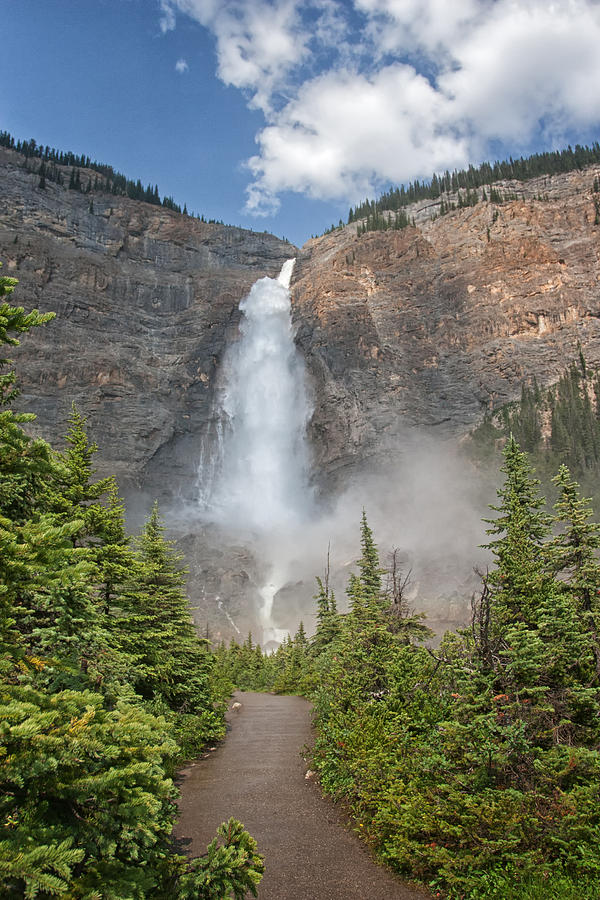 Stream from Takakkaw Falls Photograph by Natural Focal Point Photography