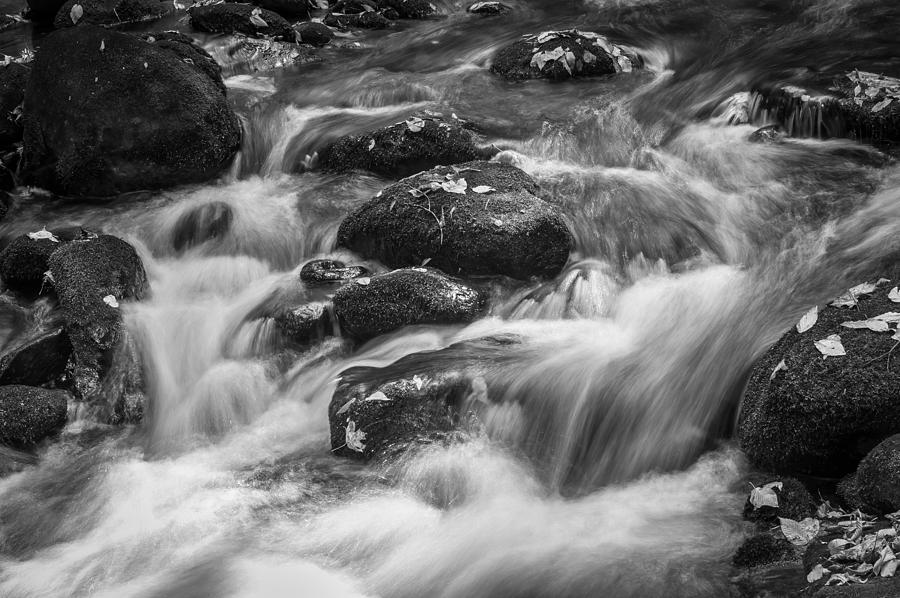Stream Great Smoky Mountains BW Photograph by Rich Franco