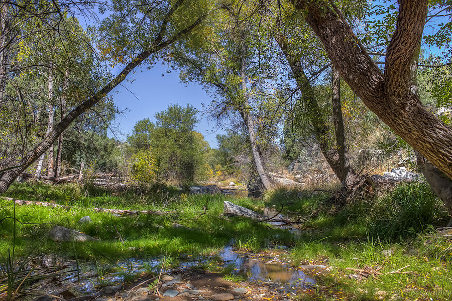 Stream HDR Photograph by Aaron Burrows