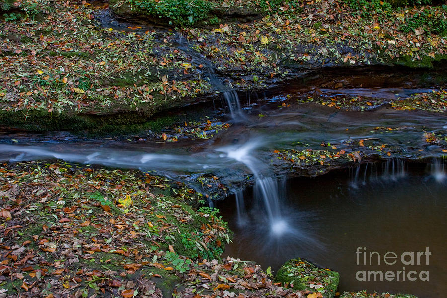 Stream In Autumn Photograph by Frank Fox