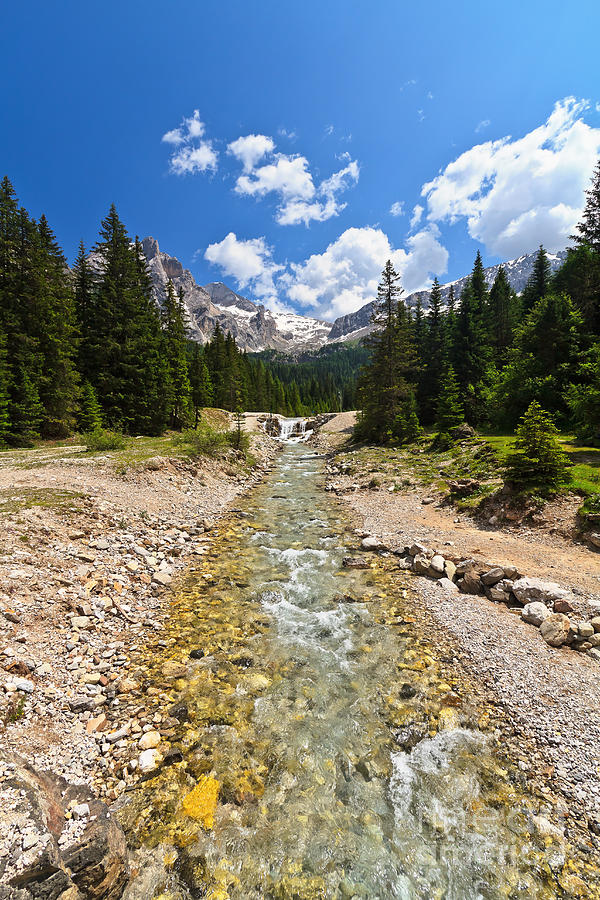 stream in Contrin Valley Photograph by Antonio Scarpi