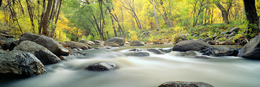 Nature Photograph - Stream In Cottonwood Canyon, Sedona by Panoramic Images