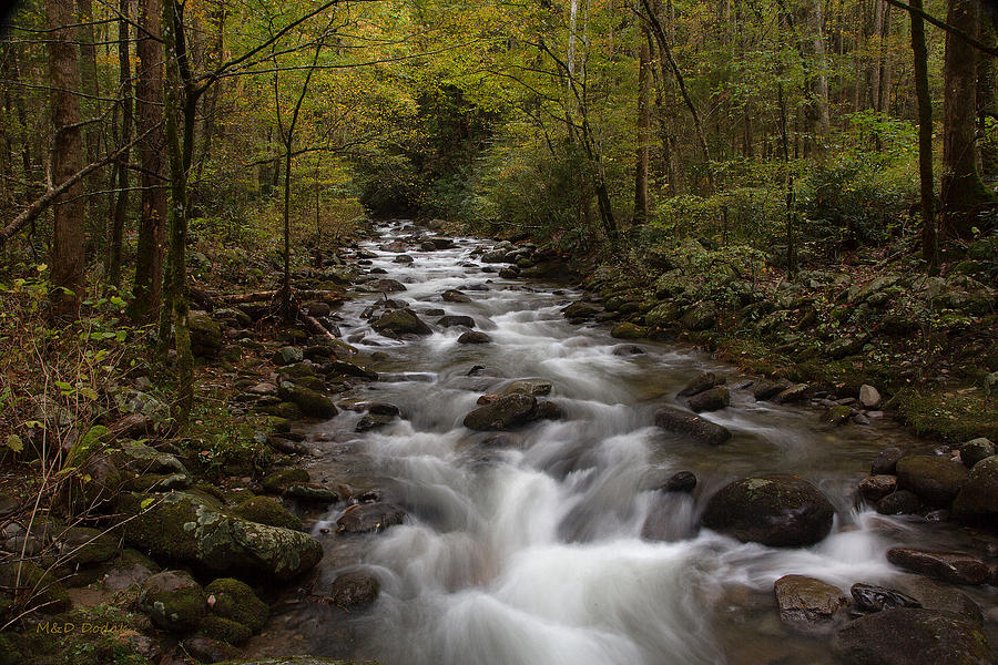 Stream in Fall - Cades Cove Photograph by Mike Dodak - Fine Art America