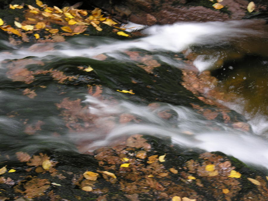 Stream In Fall Photograph by Robert Lozen