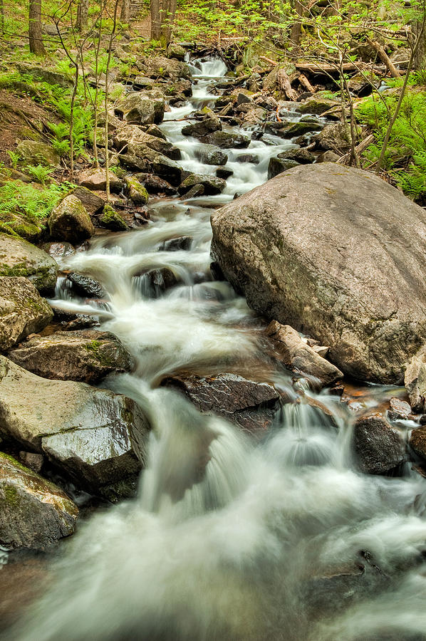 Nature Photograph - Stream in Gatineau Park by Rob Huntley