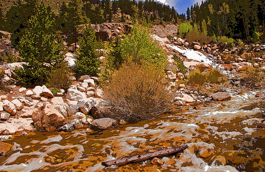Stream in the Colorado Rockies Photograph by A Macarthur Gurmankin