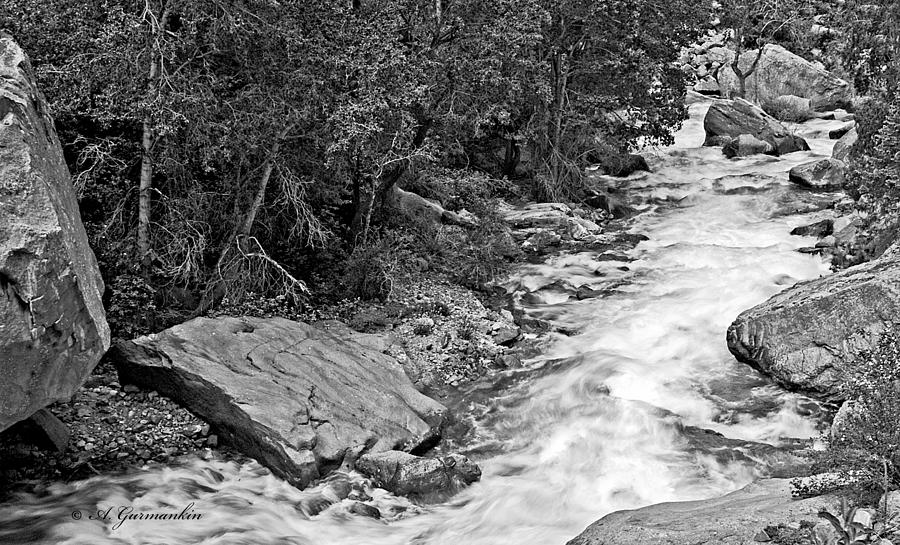 Stream in the Rocky Mountains Photograph by A Macarthur Gurmankin
