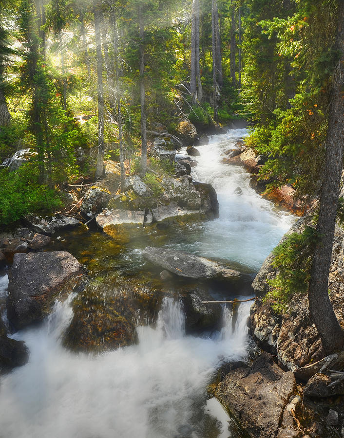 Stream In The Tetons Photograph