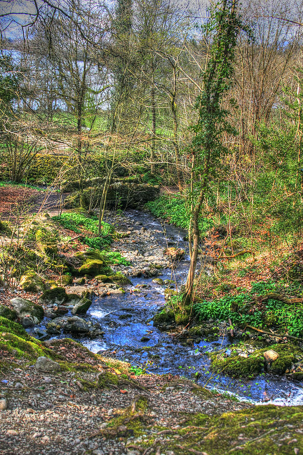 Stream In Wales Photograph by Doc Braham