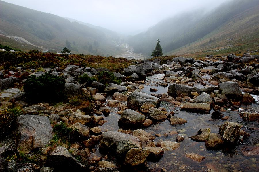 Stream in Wicklow Mountains NP Ireland Photograph by Toni and Rene Maggio