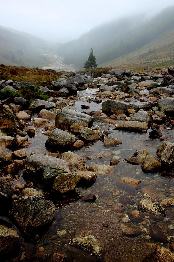 Stream in Wicklow Mountains NP Ireland vertical Photograph by Toni and Rene Maggio