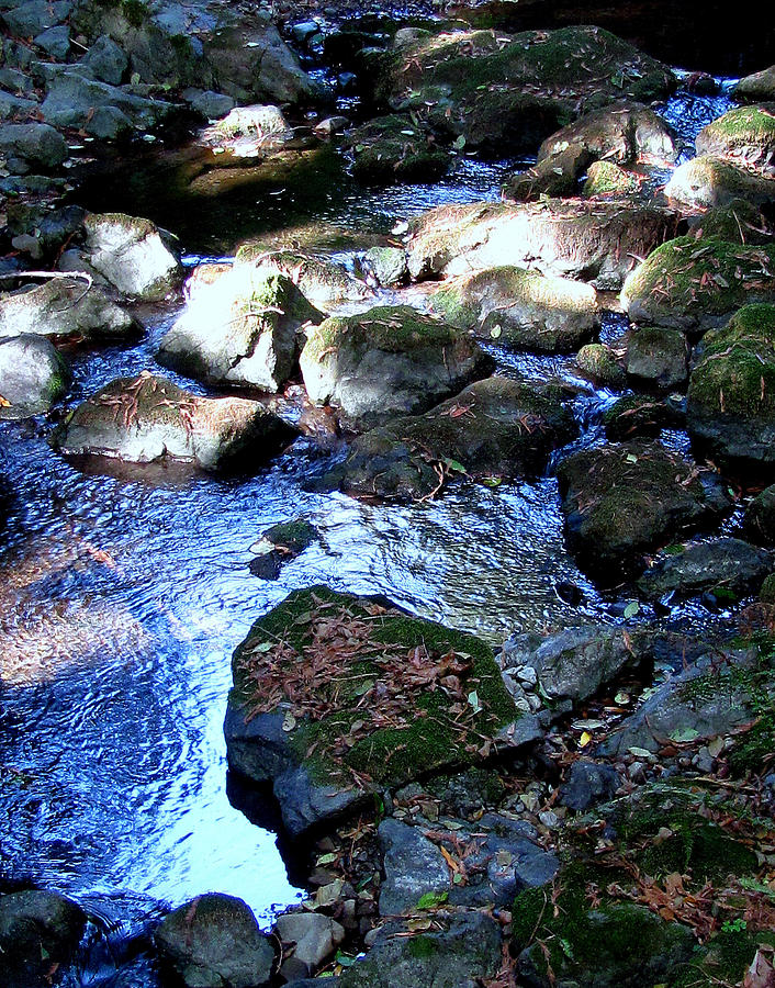 Stream Photograph - Stream Of Consciousness by Lesley Brindley