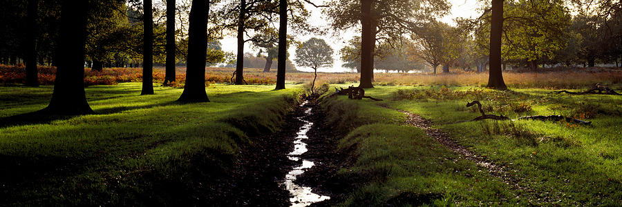 Stream Passing Through A Park, Richmond Photograph by Panoramic Images