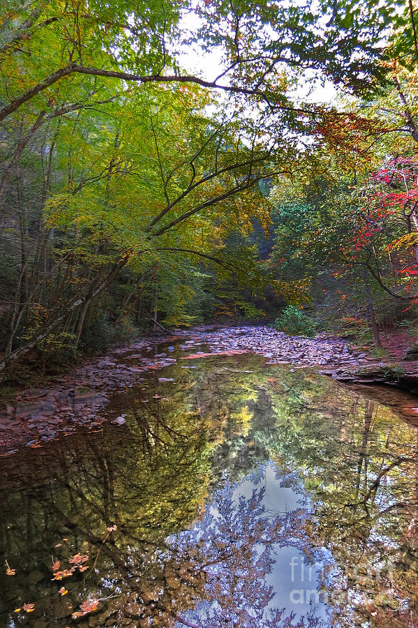 Trough Creek Reflection Photograph by Dawn Gari