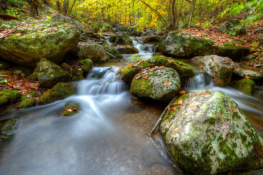 Stream rocks Photograph by Thomas Szajner - Fine Art America