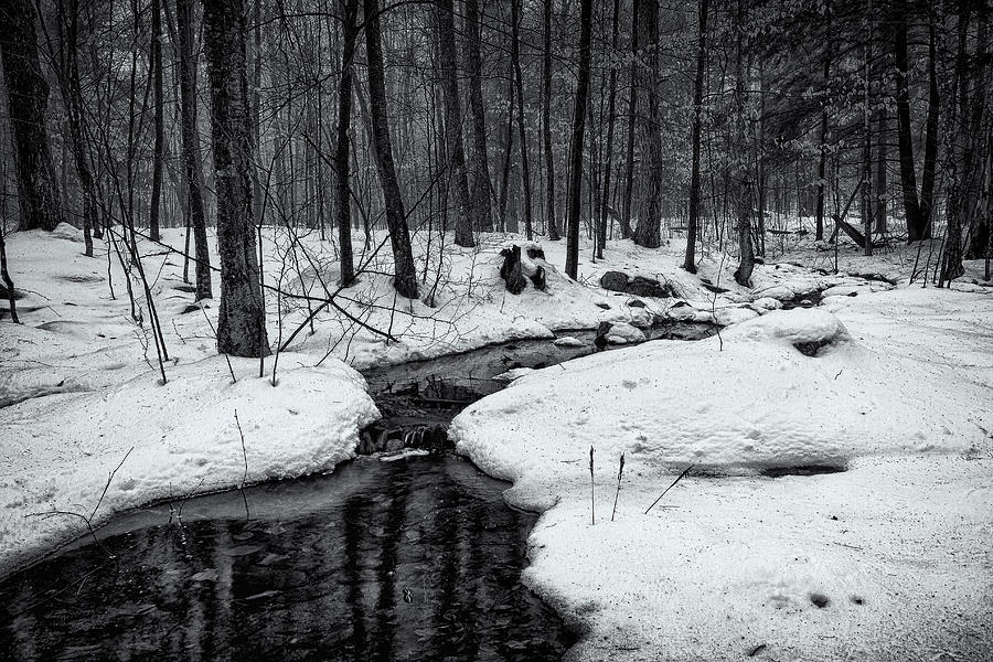 Stream Through The Misty Winter Woods Photograph by Jeff Sinon
