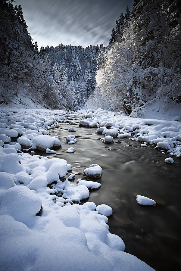 Stream to winter Photograph by Dominique Dubied
