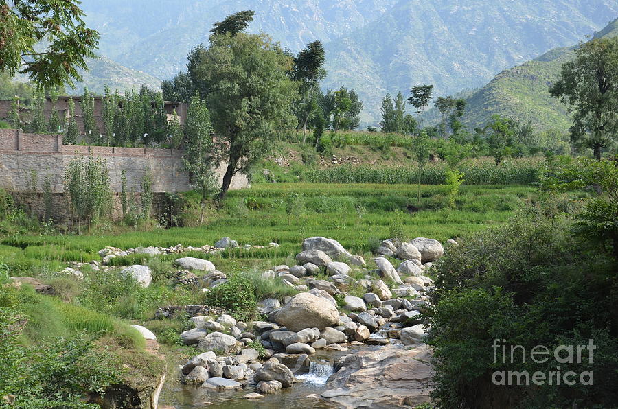 Stream trees house and mountains Swat Valley Pakistan Photograph by Imran Ahmed