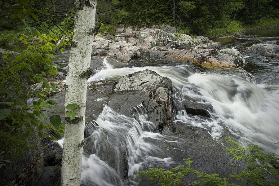 Stream with Waterfall in Vermont Photograph by Randall Nyhof