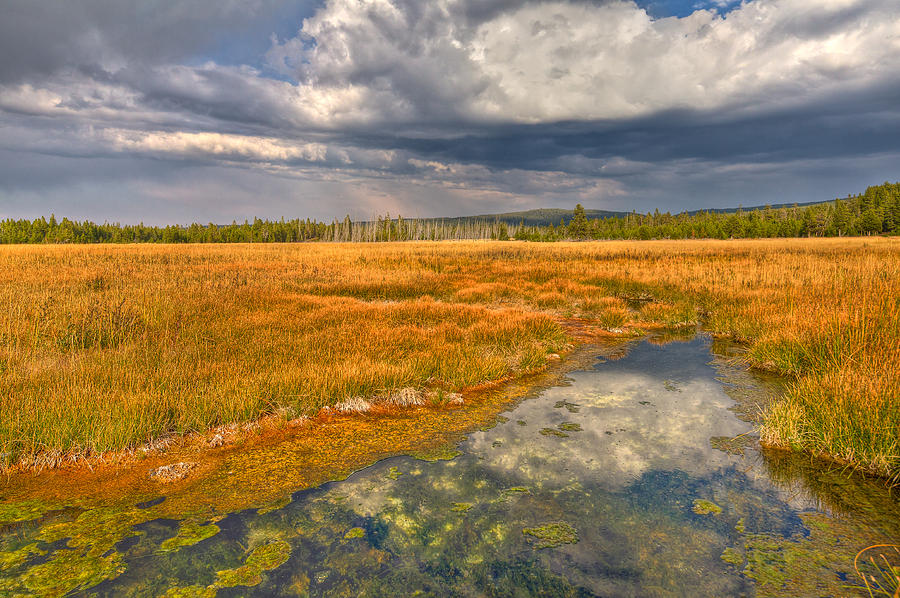 Yellowstone National Park Photograph - Fields of Grass by Jeff Donald