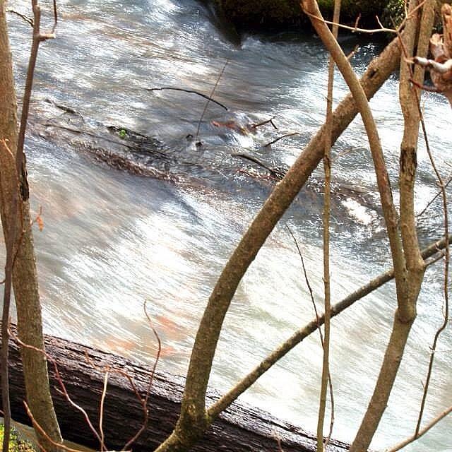 Creek Photograph - #stream,#creek by Nate Hart