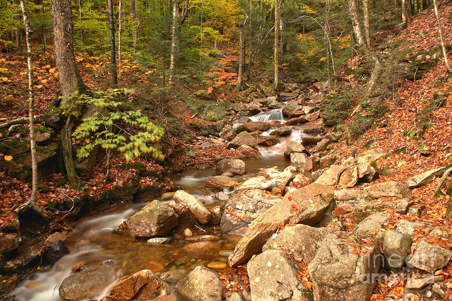 Streaming Through Franconia Notch Photograph by Adam Jewell